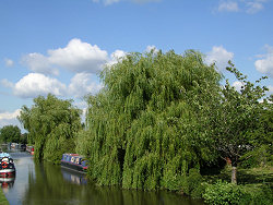Along the canal